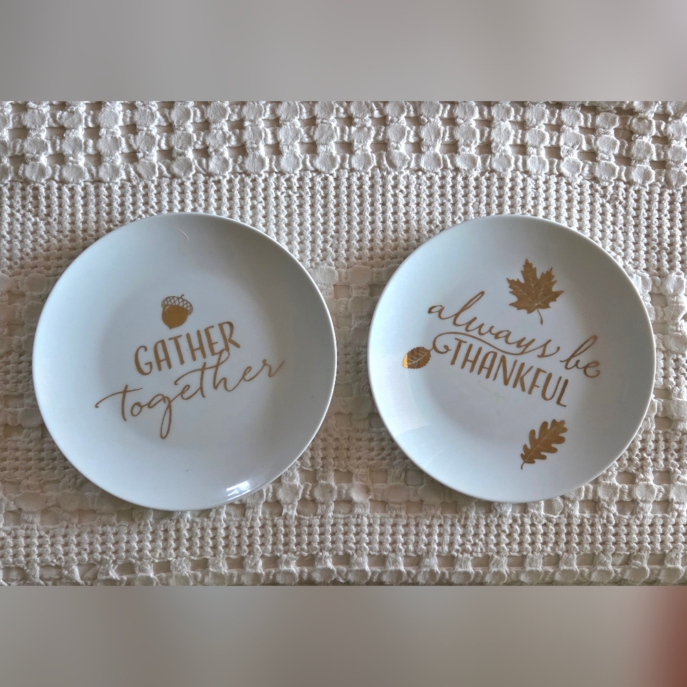 Pier 1 Imports Gold Leaf And Acorn Thanksgiving Plate Set